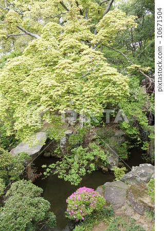 交易商的田中Honkei花園 交易商的田中Honkei花園 10671504