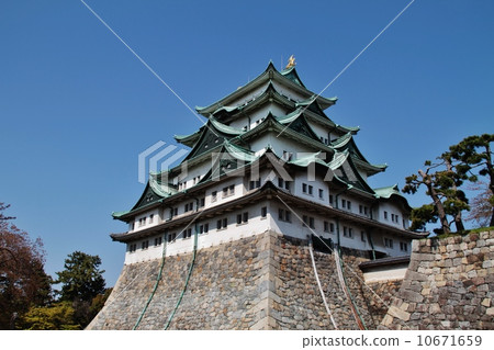 名古屋城堡 10671659