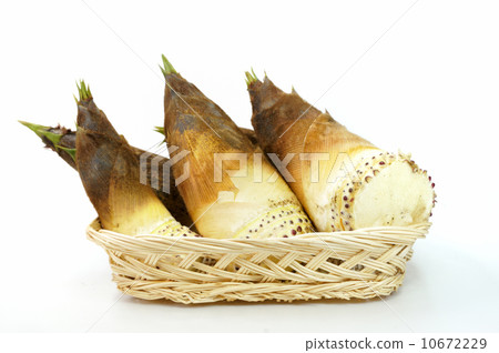 Bamboo shoots 10672229