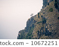 Moody Landscape with lonely tree on rocky mountains film effects colors 10672251