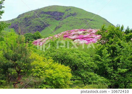 Landscape Azalea Azalea Park scenery Landscape Azalea Azalea Park scenery 10672410