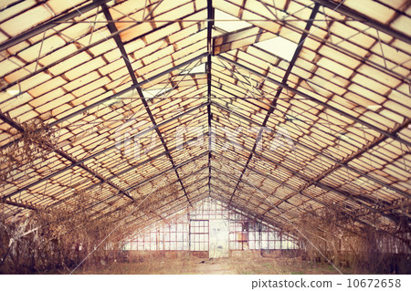 old abandoned hothouse 10672658