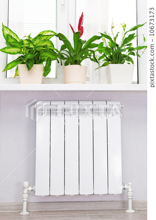 Heating white radiator radiator with flower and window. Heating white radiator radiator with flower and window. 10673173