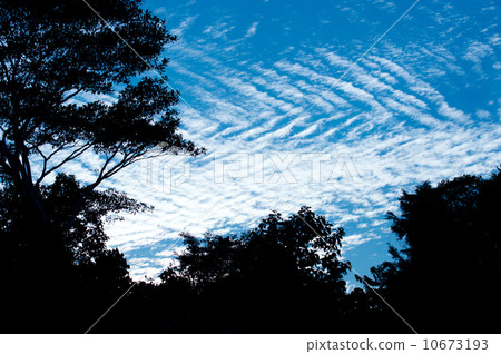 熱帶的天空 熱帶的天空 10673193