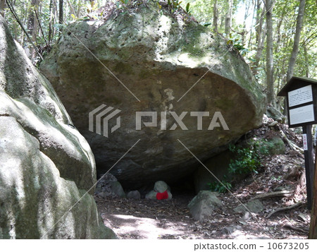 Kumano Kodo's dolphin 10673205