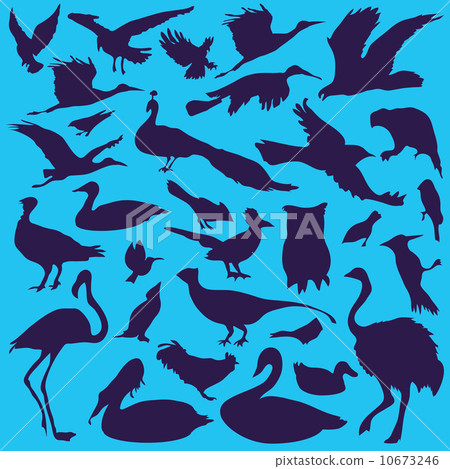 Birds Birds 10673246