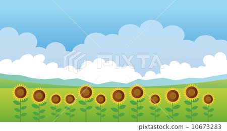 Sunflower field - Stock Illustration [10673283] - PIXTA
