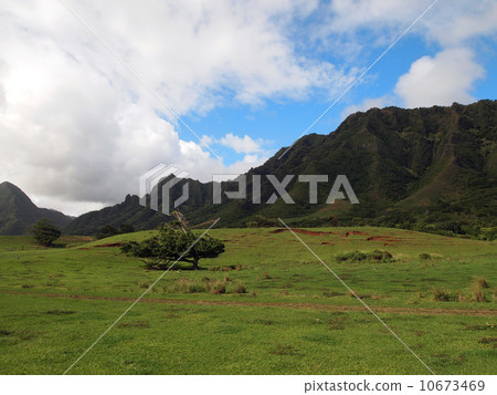 Kualoa Kualoa 10673469