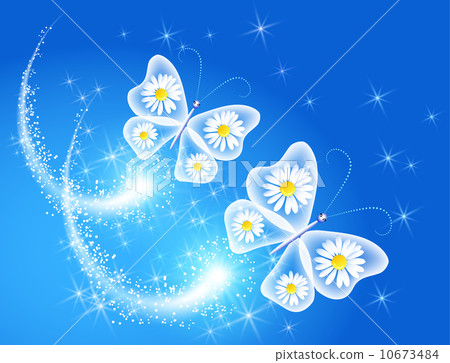 Butterfly and Butterfly and 10673484
