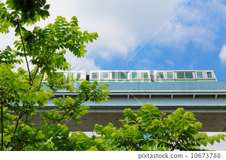 枕頭襯墊穿過一個新鮮的綠色橋樑到年輕的葉子 枕頭襯墊穿過一個新鮮的綠色橋樑到年輕的葉子 10673788