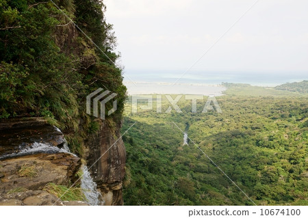 View from the top of the waterfall of Iriomote Island Pinaisala View from the top of the waterfall of Iriomote Island Pinaisala 10674100