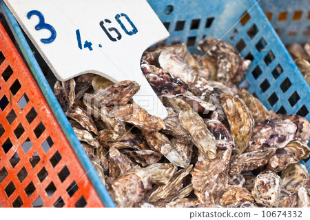 Oysters market 10674332