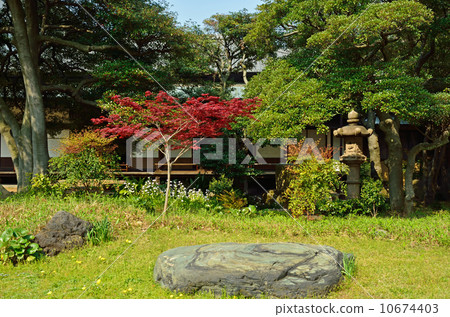 Former Iwasaki mansion garden · Wakkan 10674403