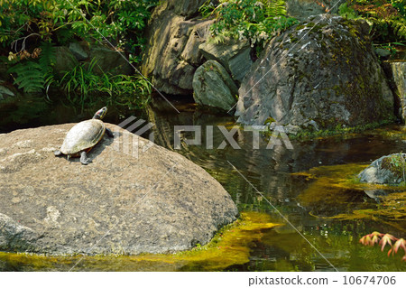 Yushima Tenmangu Shrine · Japanese garden Yushima Tenmangu Shrine · Japanese garden 10674706