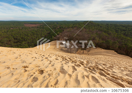 Dune of Pyla Dune of Pyla 10675306
