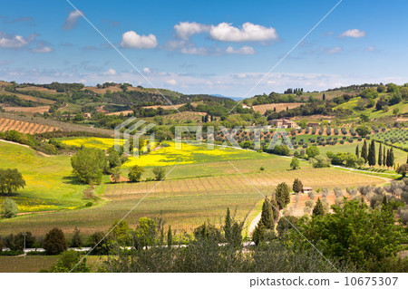 Outdoor Tuscan hills landscape 10675307