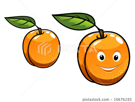 Cute happy orange apricot fruit Cute happy orange apricot fruit 10676285