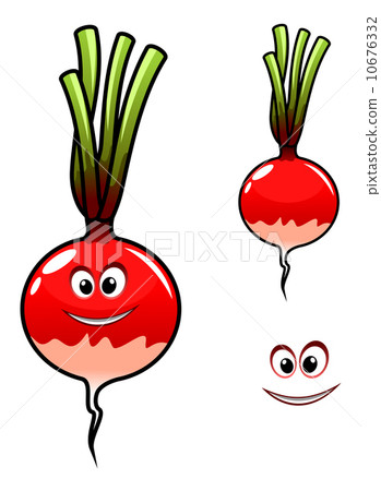 Fresh radish vegetable Fresh radish vegetable 10676332