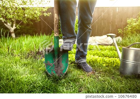 man holding foot on shovel at garden at sunny day man holding foot on shovel at garden at sunny day 10676480
