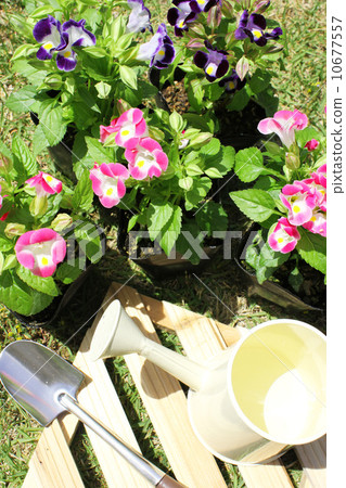 gardening gardening 10677557