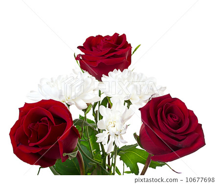 A beautiful bouquet of red roses and chrysanthemums A beautiful bouquet of red roses and chrysanthemums 10677698