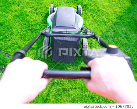 Green grass is mowed lawn mower Green grass is mowed lawn mower 10677833