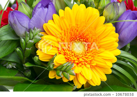 colorful flowers bouquet 10678038