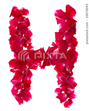 Pink rose petals forming letter H 10678045