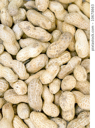 peanut background 10678663