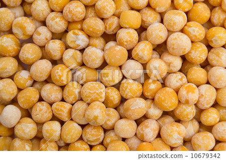 pea background pea background 10679342