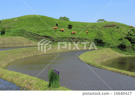 水稻種植前的轎車 水稻種植前的轎車 10680427