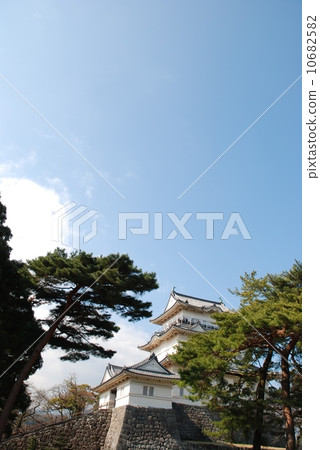 小田原城堡和松樹 10682582