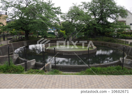 Two-territorial waters Kikumi cylinder divided water 10682671