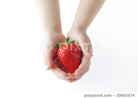 兒童的手和草莓(Skyberry®) 兒童的手和草莓(Skyberry®) 10683074