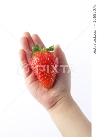 兒童的手和草莓(Skyberry®) 兒童的手和草莓(Skyberry®) 10683076