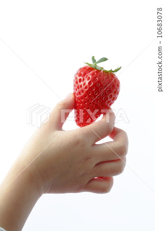 兒童的手和草莓(Skyberry®) 兒童的手和草莓(Skyberry®) 10683078