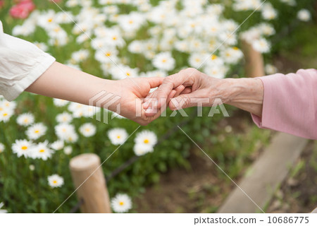 新鮮的綠色護理圖像 新鮮的綠色護理圖像 10686775