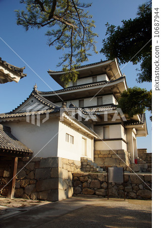 Imabari Castle Imabari Castle 10687944