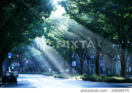 sun's rays sunlight green grass