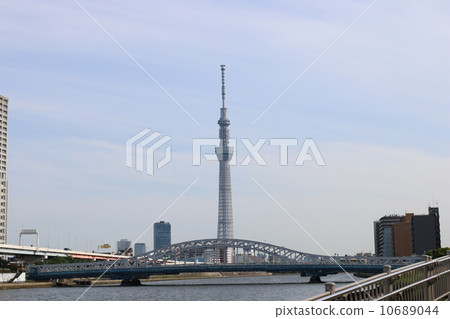 Sky tree  10689044