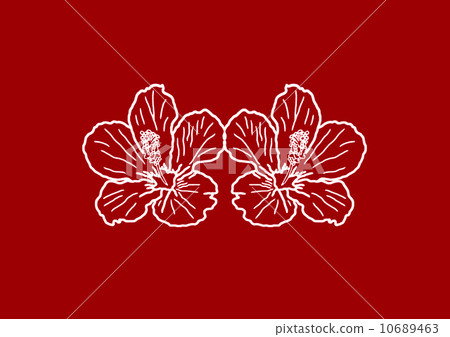 Hibiscus 10689463