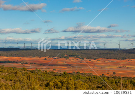 Windy day at Castilla-La Mancha, Spain 10689581