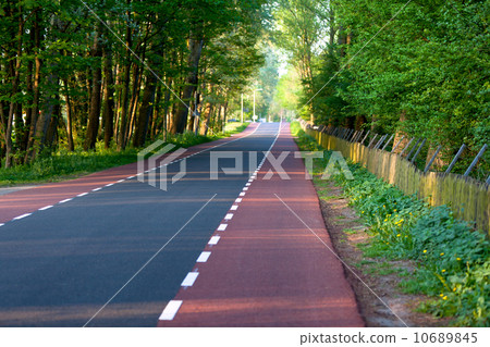 Empty rural road Empty rural road 10689845