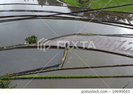 Scenery of Tanada and rice fields in Hiroshima Ini Scenery of Tanada and rice fields in Hiroshima Ini 10690083