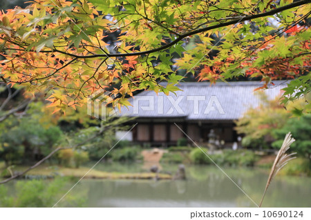 Main hall of Joruri-ji Temple (national treasure) 10690124