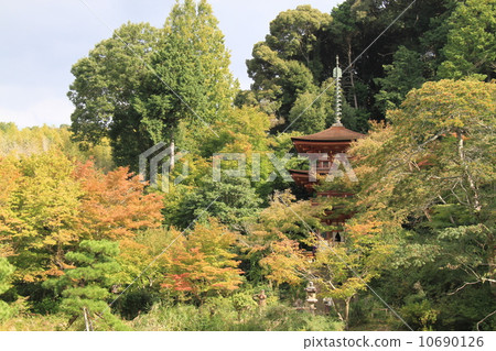 Three-storied pagoda of Joruri-ji Temple (national treasure) Three-storied pagoda of Joruri-ji Temple (national treasure) 10690126