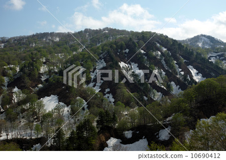 新鮮的綠色和剩餘的雪 新鮮的綠色和剩餘的雪 10690412