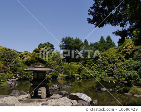 日本庭園 10690429