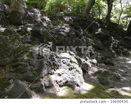 前古河住宅的日本庭園 10690430