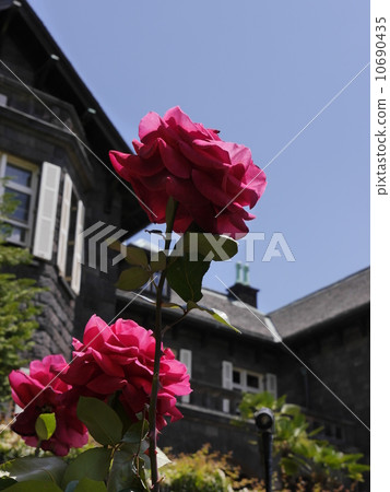 老古河之家 10690435